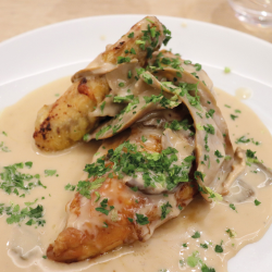 Le Mitonnée de Dinde, éclat de Marrons et Cèpes, Sauce crémée au Jus de Truffe d'été - 400g - CAT