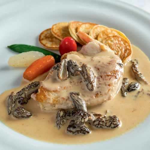 Le Mijoté de Volaille et sa Sauce Foie Gras et Morilles, 400g - DEST
